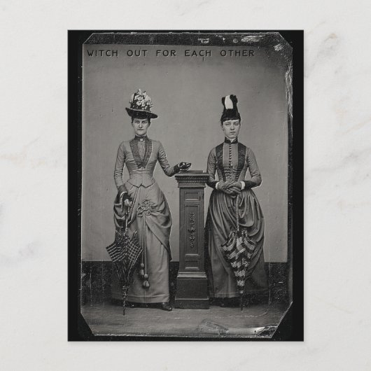 Hekken voor elkaar briefkaart (Voorkant)