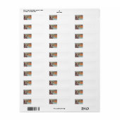 Heks bezem Jack O Lantern Uil Maan Etiket (Full Sheet)