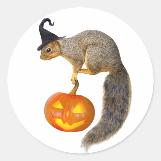 Heks Eekhoorn Jack-o-Lantern Sticker (Voorkant)