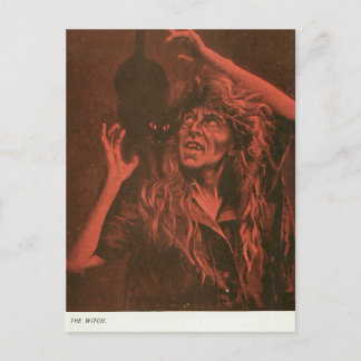 heks en haar kat briefkaart