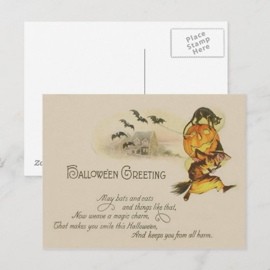 Heks Jack O' Lantaarn Zwart Kat Bat Briefkaart (Voorkant / Achterkant)