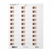 Heks Jack O Lantern Pompoen Etiket (Full Sheet)