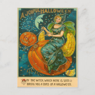Heks Jack O Lantern Vogel Pompoen Sikkelmaan St Briefkaart