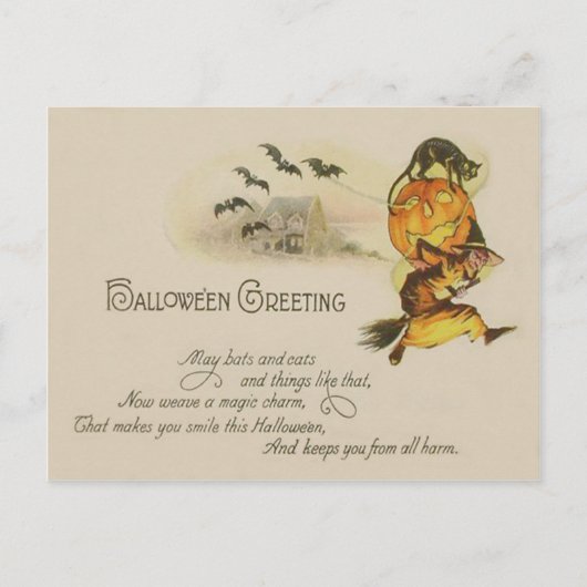 Heks Jack O' Lantern Zwarte Kat Vleermuis Briefkaart (Voorkant)