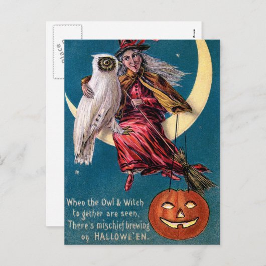  heks pompoen uil Halloween briefkaart (Voorkant / Achterkant)