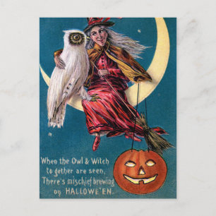  heks pompoen uil Halloween briefkaart
