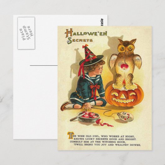 Heks Uil Jack O Lantaarn Pompoen Briefkaart (Voorkant / Achterkant)