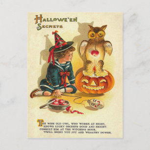 Heks Uil Jack O Lantern Pompoen Briefkaart