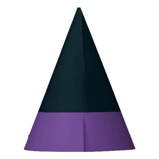 Heks Wicked Pet Zwart Halloween Feest Feesthoedjes (Achterkant)