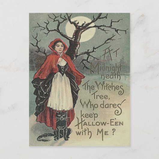 Heks Zwart Kat Vollemaan Briefkaart (Voorkant)