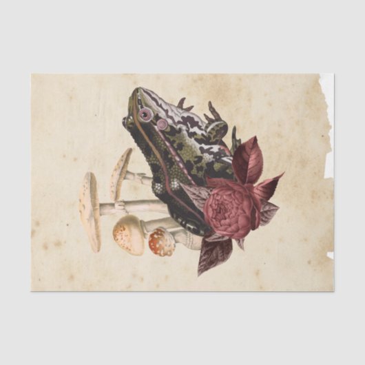 Heksen Ephemera Design Serie #5 Tissuepapier (Voorkant)