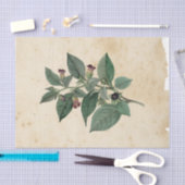 Heksen Ephemera Ontwerpreeks #11 Tissuepapier (Craft)