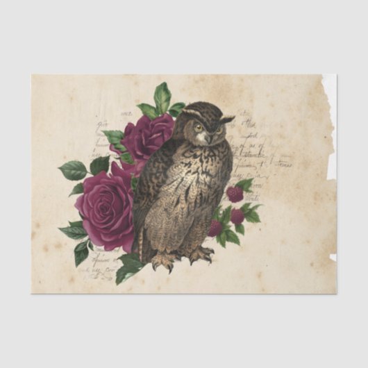 Heksen Ephemera Ontwerpreeks #3 Tissuepapier (Voorkant)
