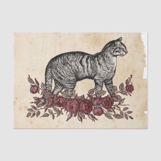Heksen Ephemera Ontwerpreeks #4 Tissuepapier (Voorkant)