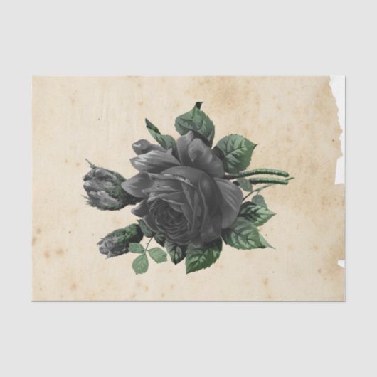 Heksen Ephemera Ontwerpreeks #9 Tissuepapier (Voorkant)