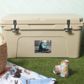 Heksen pet en kristallen bol sticker (Koeler)