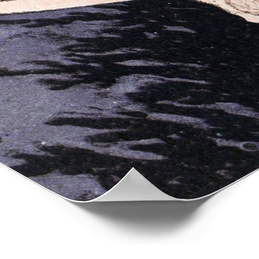  heksen - Walpurgis van Adolf Munzer Poster (Hoek)