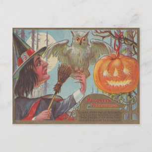 Heksenbezem Jack O Lantern Uil Maan Briefkaart