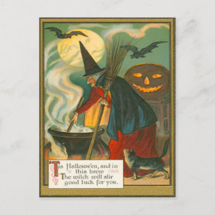 Heksenbezem Ketel Jack O Lantern Vleermuis Kat Briefkaart