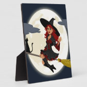 heksenbroomstokbroom fotoplaat (Zijkant)