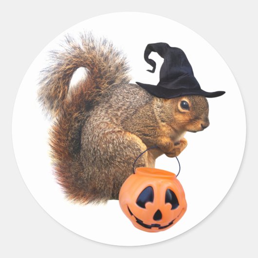 Hekseneekhoorn Trick-or-Treat Sticker (Voorkant)