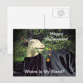 Heksengeit Halloween Briefkaart (Voorkant / Achterkant)