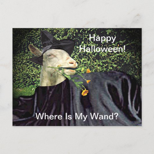 Heksengeit Halloween Briefkaart (Voorkant)