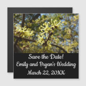 Heksenhazelaar Bloemen (Voorkant / Achterkant)