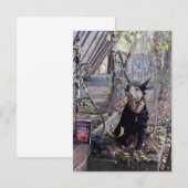 Heksenkostuumboek Funny Dog Fotokaart Bedankkaart (Voorkant / Achterkant)