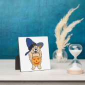Heksenpompierhond Fotoplaat (Insitu)