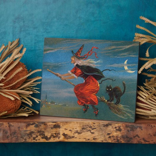 Heksenvliegen met zwarte kat op Halloween Night Fotoplaat (Zijkant)