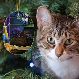 Hekserige Bruine Kat Magische Paarse Volle Maan Br Keramisch Ornament