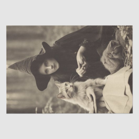 hekserij: Cauldron Conjurings Decoupage Tissuepapier (Voorkant)
