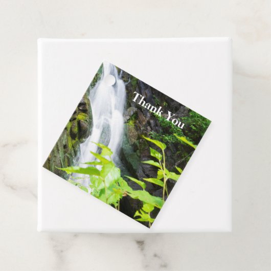 Hel Gate Canyon waterval Bedankjes Labels (In situ)