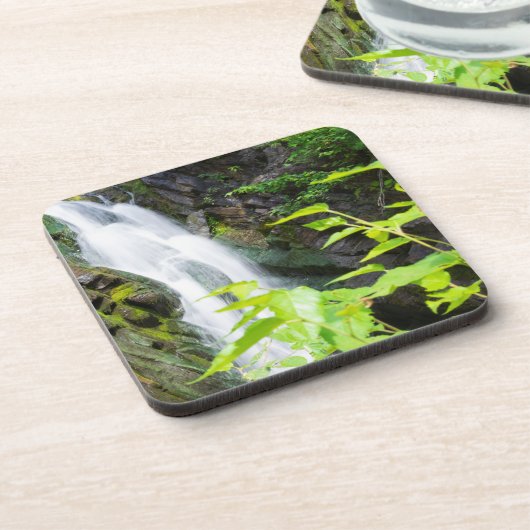 Hel Gate Canyon waterval Bier Onderzetter (Linkerzijde)