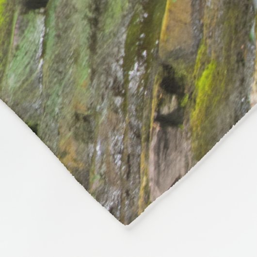 Hel Gate Canyon waterval Fleece Deken (Hoek)