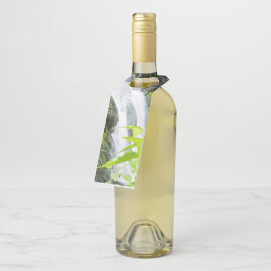 Hel Gate Canyon waterval Flessenhanger (Schuin)