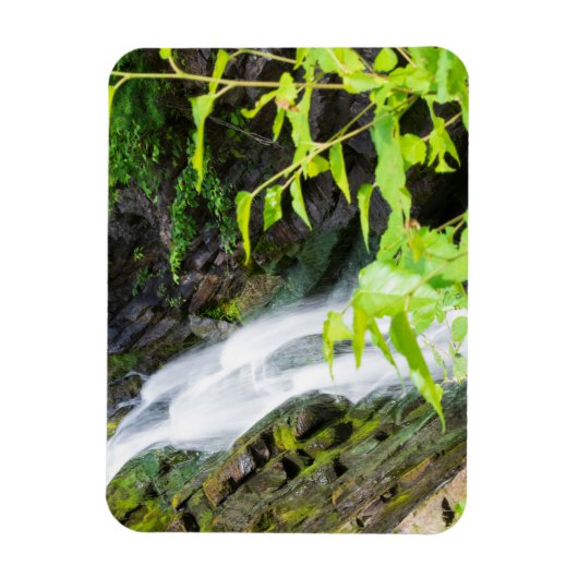 Hel Gate Canyon waterval Magneet (Verticaal)