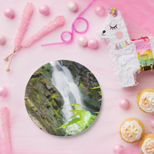 Hel Gate Canyon waterval Papieren Bordje (Feest)