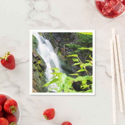 Hel Gate Canyon waterval Servet (Insitu)