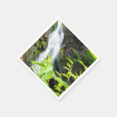 Hel Gate Canyon waterval Servet (Hoek)