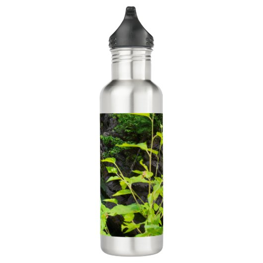 Hel Gate Canyon waterval Waterfles (Rechts)