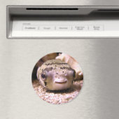 Helaïneblaasbaars Magneet (Insitu (Vaatwasser))