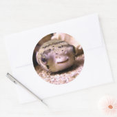 Helaïneblaasbaars Ronde Sticker (Envelop)