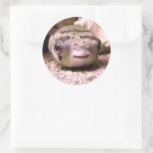 Helaïneblaasbaars Ronde Sticker (Tas)