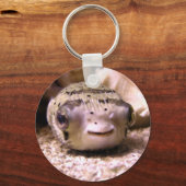 Helaïneblaasbaars Sleutelhanger (Voorkant)