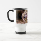 Helaïneblaasvis Reisbeker (Links)