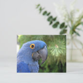 Helaine's blauwe papegaai briefkaart (Staand voorkant)