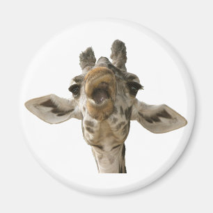 Helaine's Goofy Giraffe Magneet