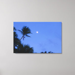 Helder aangestoken maan, silhouet van kokosnootbom canvas afdruk